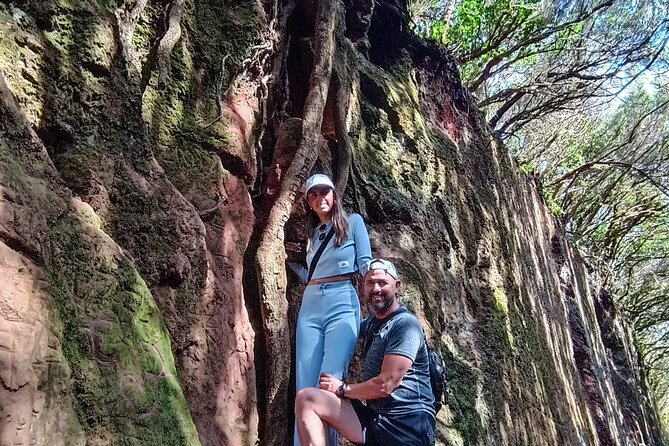 Tenerife: Hiking Tour in Anaga Mountains and Enchanted Forest - Key Things I Think You’ll Notice Right Away