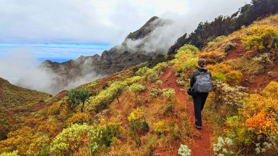 Tenerife: Hiking Tour in Anaga Mountains & Enchanted Forest - Key highlights that make this hike worth your day