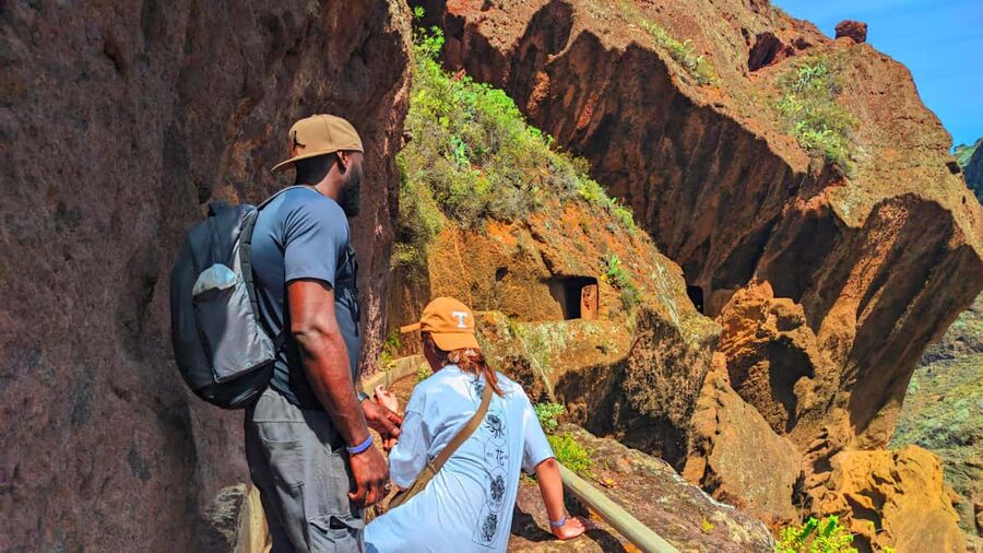 Tenerife: Hiking Tour in Anaga Mountains & Enchanted Forest - Entering Anaga Rural Park, where Tenerife turns wild and green