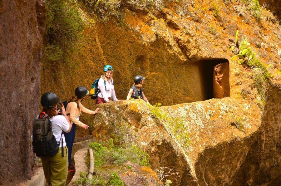 Tenerife: Hiking Tour in Anaga Mountains & Enchanted Forest - Why Alex makes this tour work: safety, pace, and small-group energy