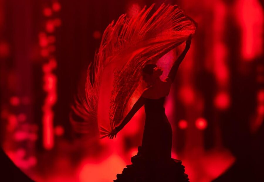 Tenerife: History The Evolution of Music Show Entry Ticket - Quick hit: what makes this show worth your evening