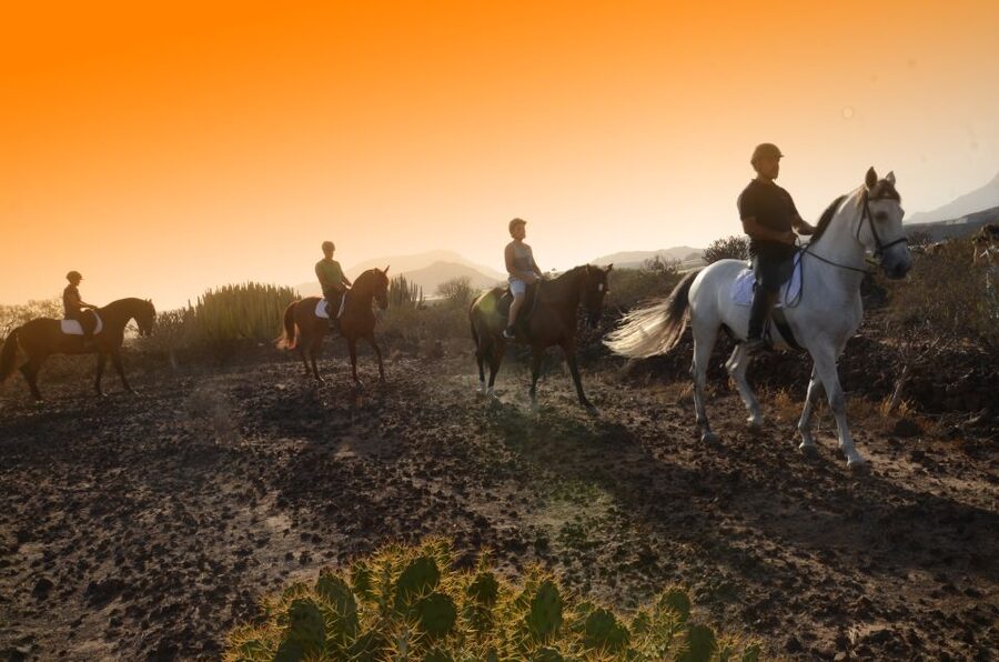 Tenerife: Horseback Ride with Instructor - Entering Xanadu Riding Center in Arona, and what the first moments feel like