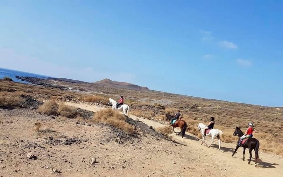 Tenerife: Horseback Ride with Instructor - The instructor and horse matching, where the ride can make or break