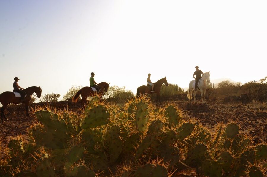 Tenerife: Horseback Ride with Instructor - Going from the mountains toward the coast, and why the 2-hour ride usually wins