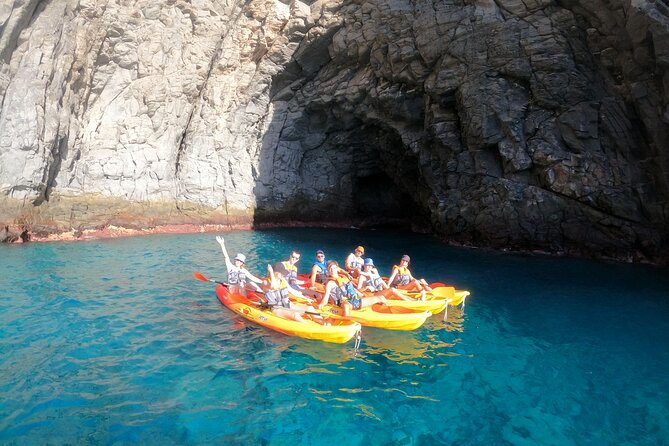 Tenerife: Kayak and snorkel with marine life safari - Snorkel stop: see what’s under the surface, without forcing it