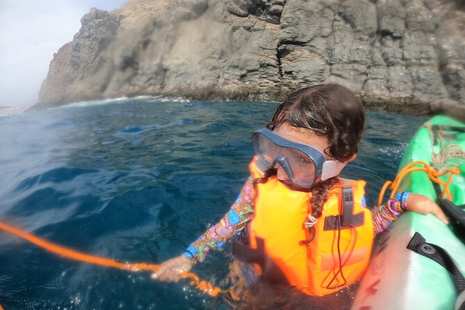 Tenerife: Kayak and snorkel with marine life safari - Marine life safari odds: dolphins, turtles, and the day’s mood