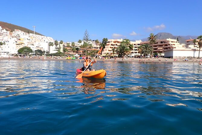 Tenerife: Kayak and snorkel with marine life safari - Price and value: $42.34 that feels fair for what you get