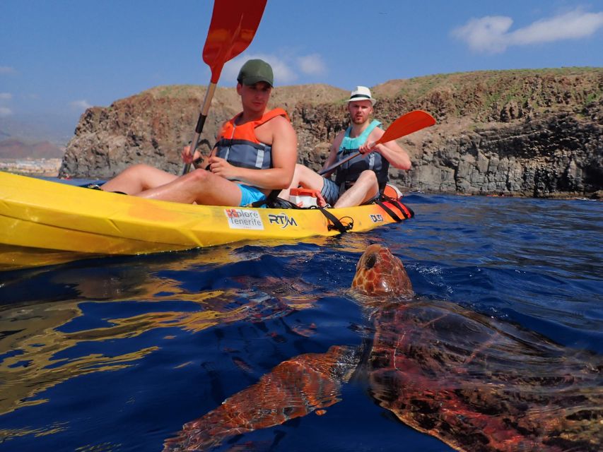 Tenerife: Kayak and Snorkel with Turtles, Wetsuits Included - Key Highlights Worth Your Time
