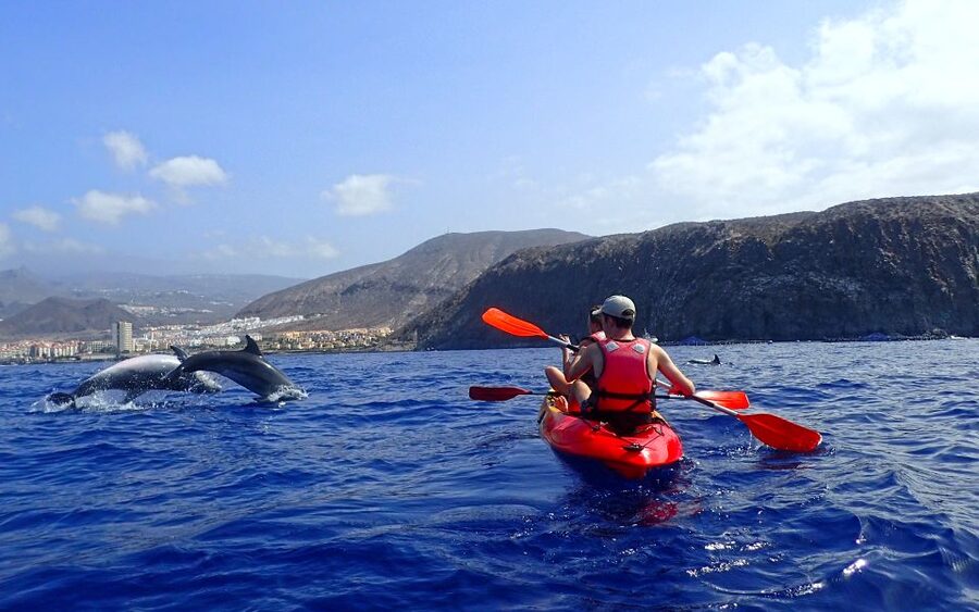 Tenerife: Kayak and Snorkel with Turtles, Wetsuits Included - Kayaking Sessions at Playa de Los Cristianos and the Cueva de los Enamorados Stop