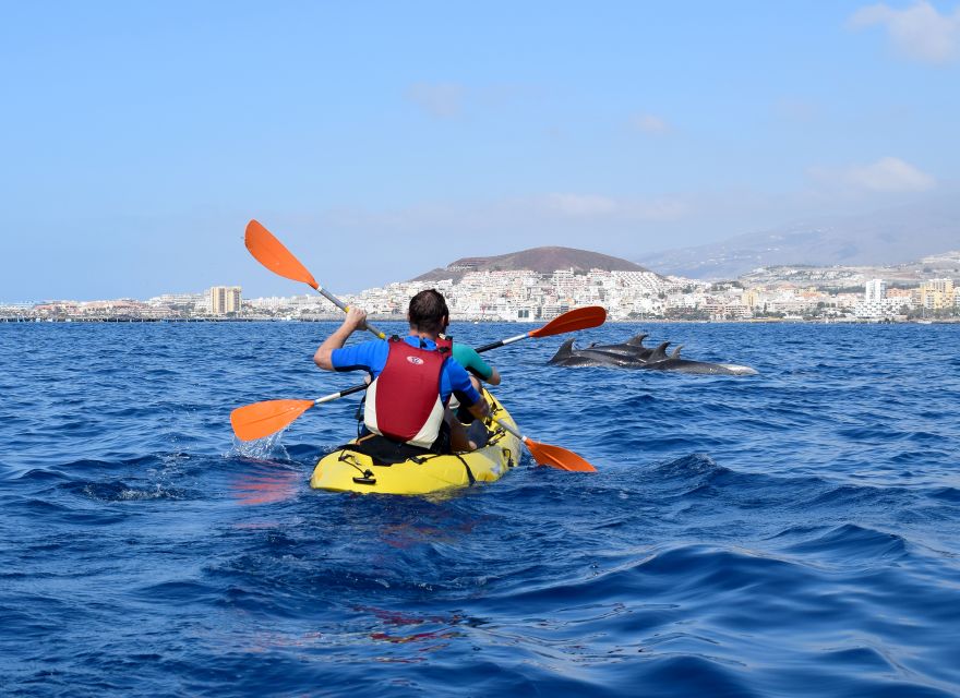 Tenerife: Kayak and Snorkel with Turtles, Wetsuits Included - Price, Value, and Who This 35 Dollar Tour Makes Sense For
