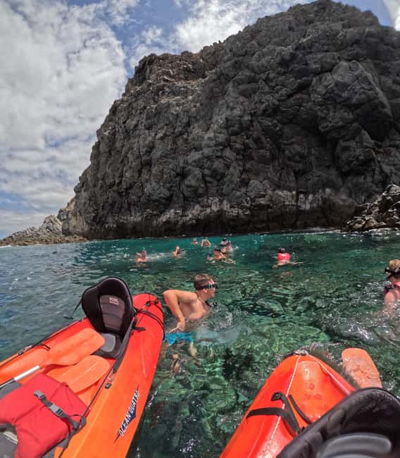 Tenerife: Kayak and Snorkeling Tour with Marine Life - Key highlights you will care about
