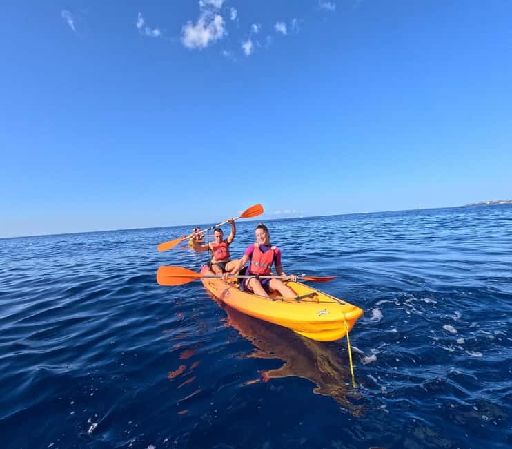 Tenerife: Kayak and Snorkeling Tour with Marine Life - Marine life sightings, dolphins up close and turtles in the mix