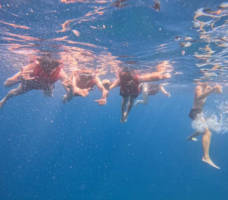 Tenerife: Kayak and Snorkeling Tour with Marine Life - Languages and the guide effect, why it matters at sea