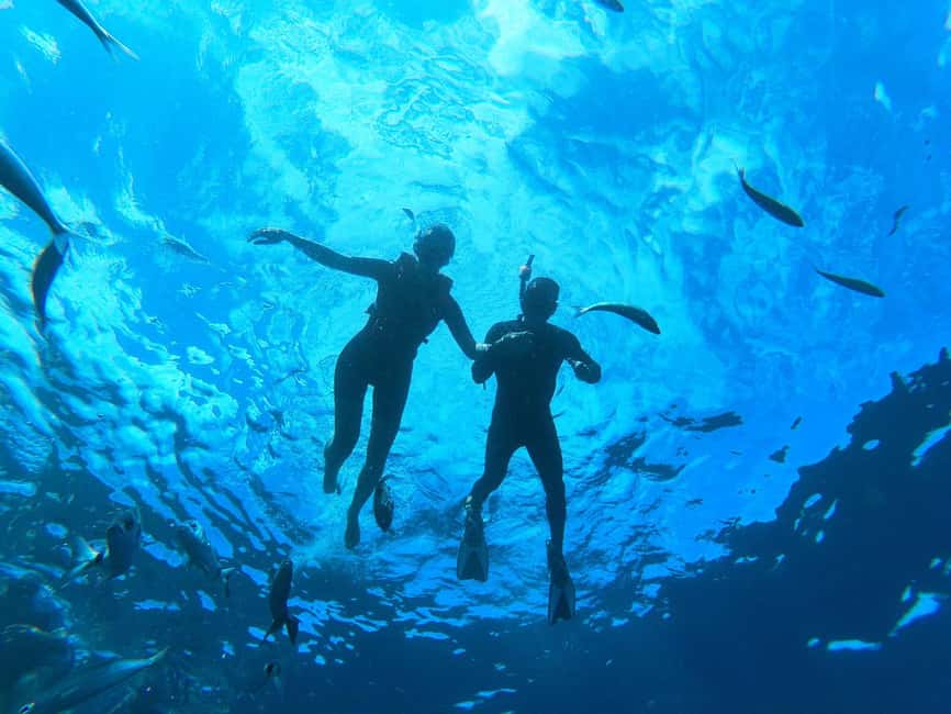 Tenerife: Kayak and Snorkeling Tour with Marine Life - Price and value, why $51 can make sense for 3 hours