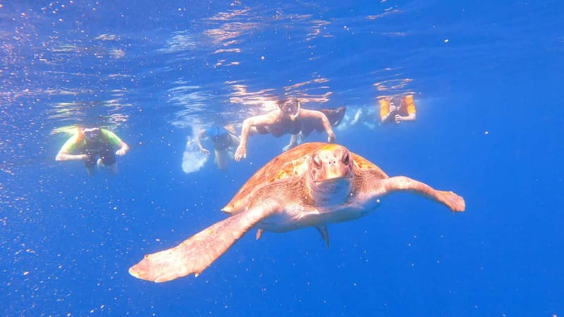 Tenerife: Kayak and Snorkeling Tour with Photos - Snorkeling With Equipment Included: What the Instructor-Led Swim Really Means
