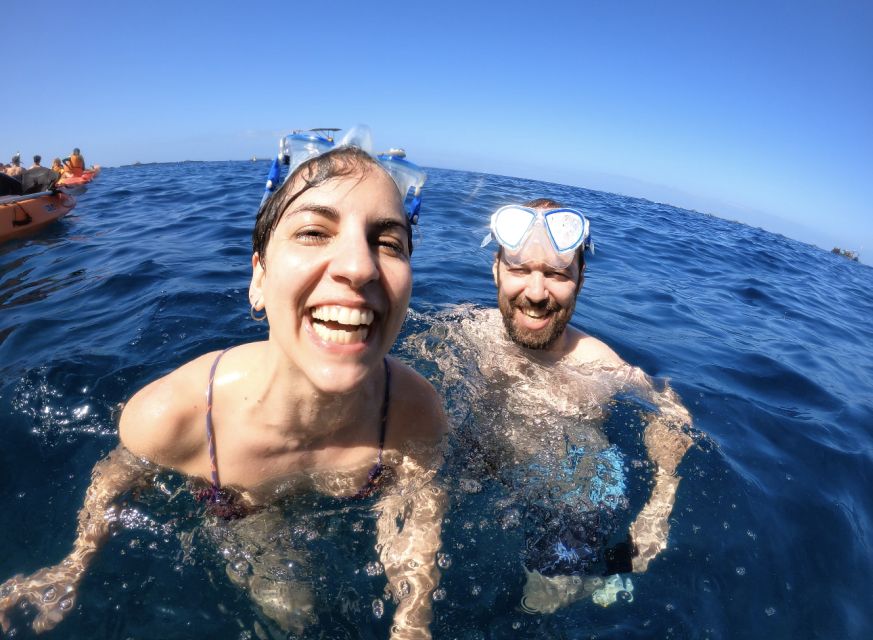 Tenerife: Kayak Safari and Sea Turtle Snorkeling with Photos - The Secret Stop and Montaña de Guaza: The Second Wildlife Window