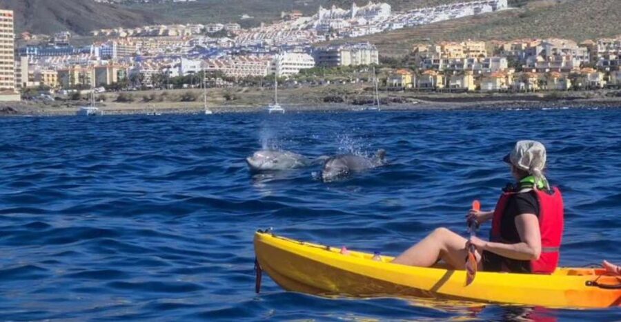 Tenerife: Kayak Safari and Sea Turtle Snorkeling with Photos - Los Cristianos Start: What the First 10 Minutes Teach You