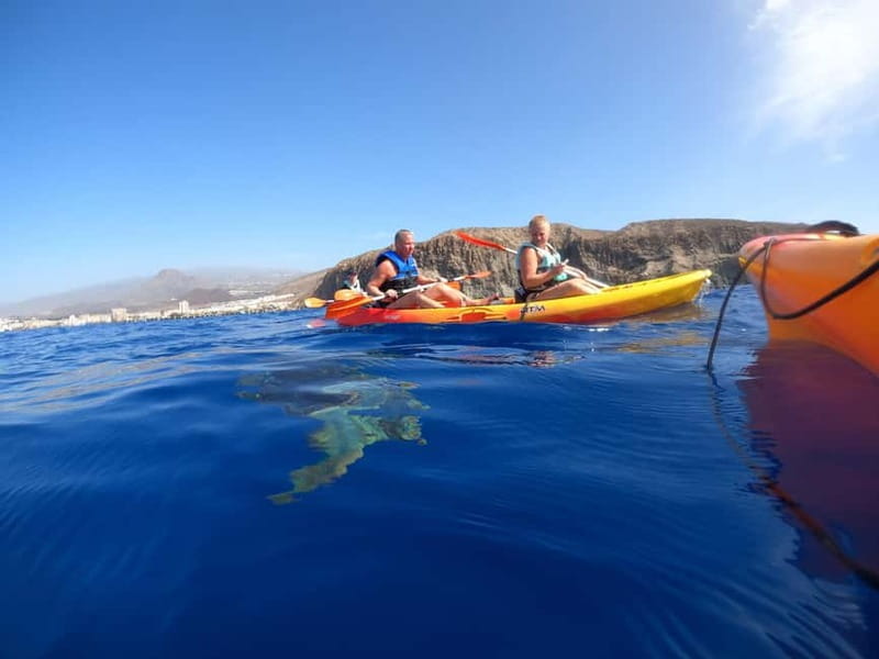 Tenerife: Kayak & Snorkel Tour with Snacks & Sea Life Safari - Who should book this kayak and snorkel tour, and who should skip it