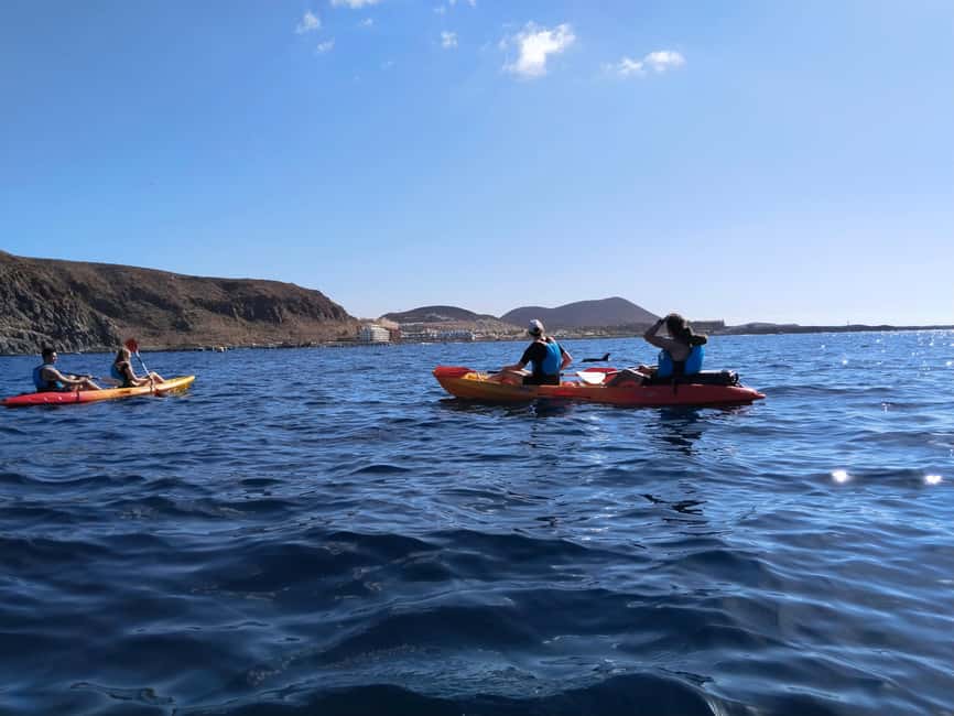 Tenerife: Kayak & Snorkel Tour with Snacks & Sea Life Safari - Back on the water for 45 minutes: where spotting chances rise