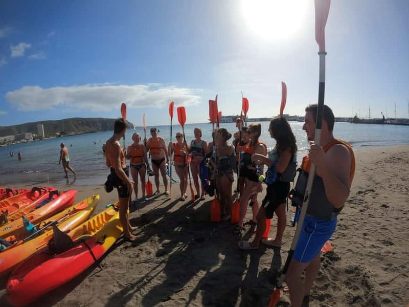 Tenerife: Kayak & Snorkel Tour with Snacks & Sea Life Safari - Snacks and drinks: small details that make the tour feel easy