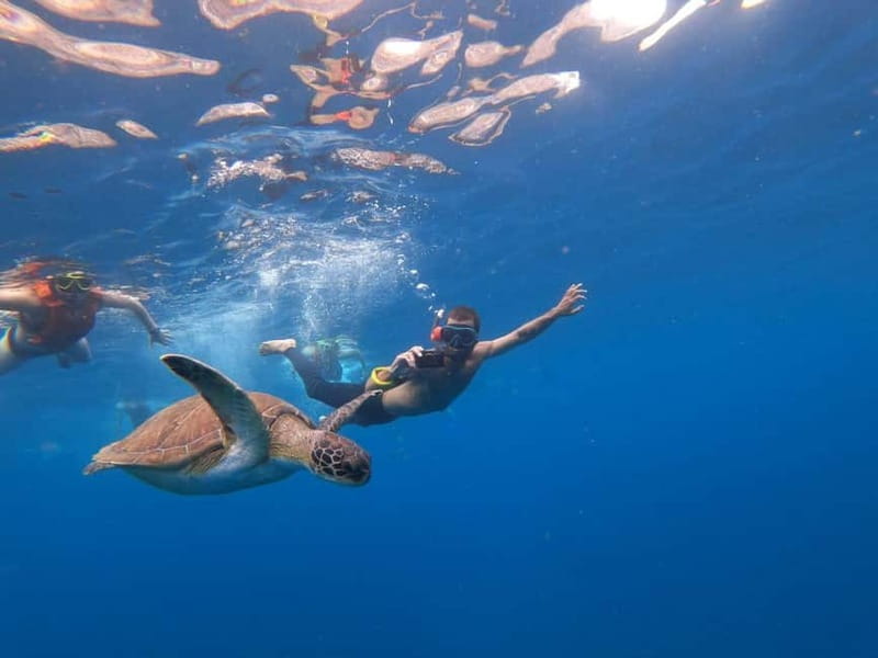 Tenerife: Kayak & Snorkel Tour with Snacks & Sea Life Safari - Gear up at MANA KAYAK: wetsuits, bathrooms, and the stuff that saves you