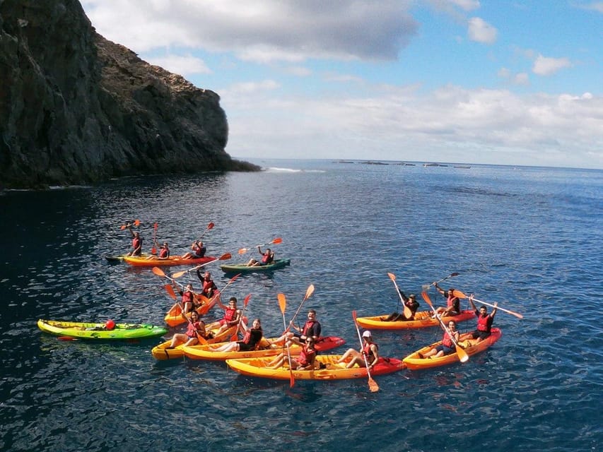 Tenerife: Kayak & Snorkeling, Marine Fauna Watching - Who This Tenerife Tour Suits Best, and Who Should Skip It