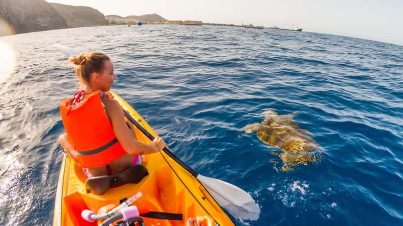 Tenerife: Kayak & Snorkeling Tour - Small Groups - Paddling along volcanic coastlines and near fish farms