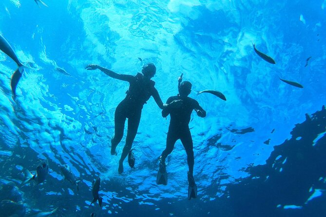 Tenerife Kayak Tour with Marine Wildlife Spotting and Snorkeling - What you really get for $42.05 per person