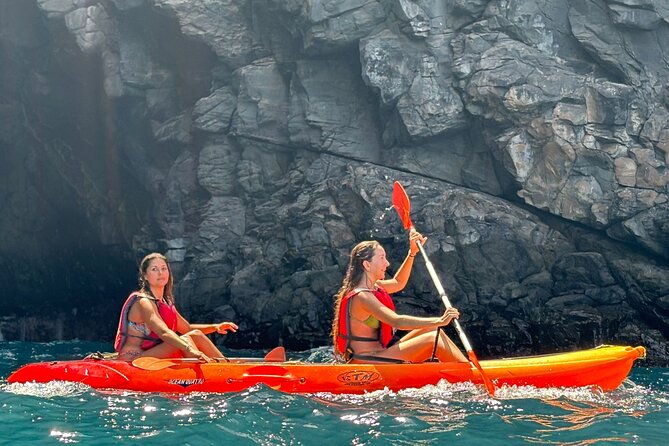 Tenerife Kayak Tour with Marine Wildlife Spotting and Snorkeling - Guides, group size, and the timing you should plan for