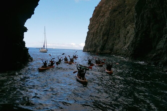 Tenerife Kayak Tour with Marine Wildlife Spotting and Snorkeling - What to pack (and what to skip) for a smooth water day