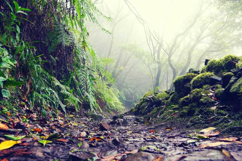 Tenerife: La Laguna & Anaga hike - Key things to know before you go