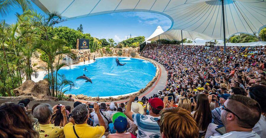 Tenerife: Loro Parque Entry Ticket - Key Things I’d Plan Around at Loro Parque
