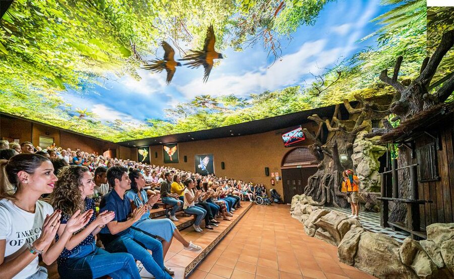 Tenerife: Loro Parque Entry Ticket - Why Loro Parque Feels Like a Full Tenerife Day