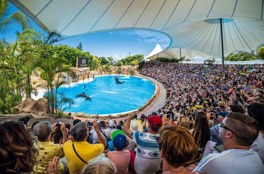 Tenerife: Loro Parque Entry Ticket - Entrance, Parking, and Getting Inside Without Stress