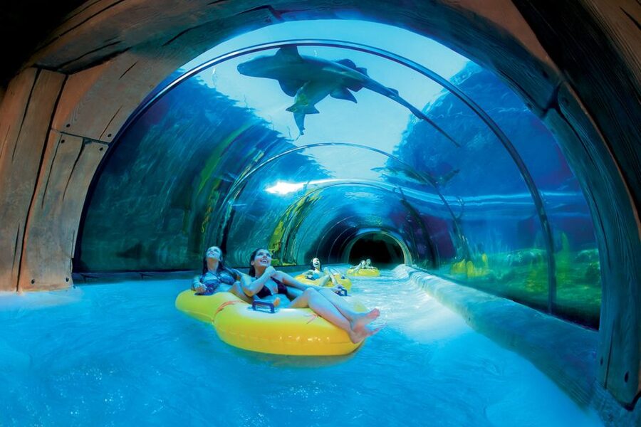 Tenerife: Loro Parque & Siam Park Entry Ticket with Transfer - Should you book this twin ticket with transfer?