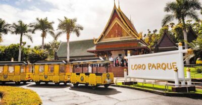 Loro Parque & Siam Park Entry Ticket with Transfer