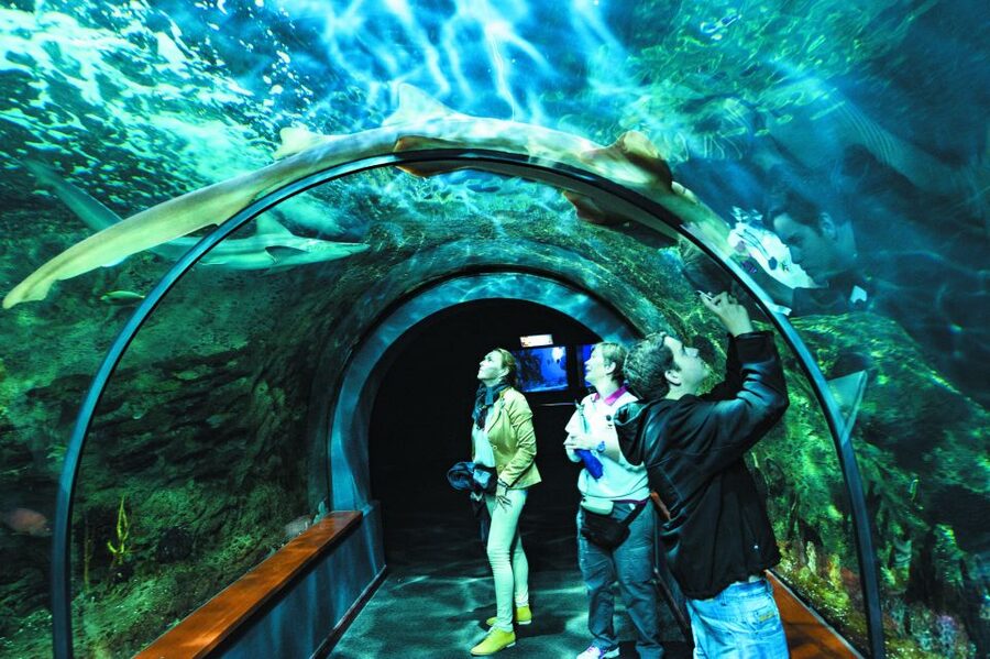 Tenerife: Loro Parque & Siam Park Entry Ticket with Transfer - Practical tips to get more fun per hour