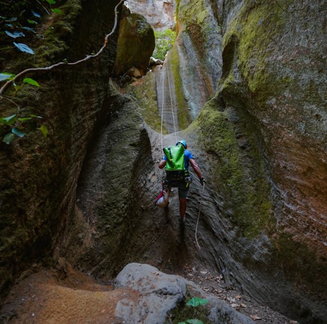 Tenerife: Los Arcos Canyoning Tour with Guide - Key things you will love about Los Arcos canyoning