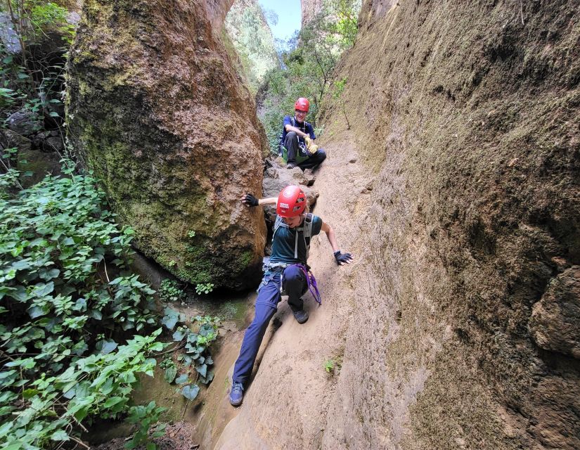 Tenerife: Los Arcos Canyoning Tour with Guide - Barranco Los Arcos de Chimoche: the geology you will actually notice on the way down