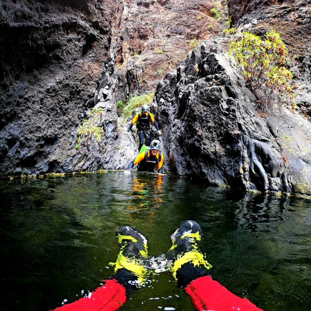 Tenerife: Los Carrizales Water Canyoning Tour - Key things to know before you go