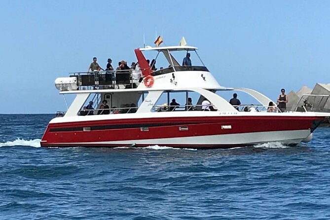 Tenerife Los Cristianos: Whale and Dolphin Eco-Yacht and Swim Stop - Your Swim Stop: Snorkel Window, Swimwear, and Timing