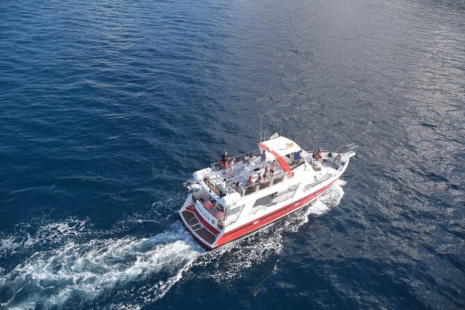 Tenerife Los Cristianos: Whale and Dolphin Eco-Yacht and Swim Stop - How the Trip Runs: 1 Hour 40 Minute, Two Coastal Stops, Then Back