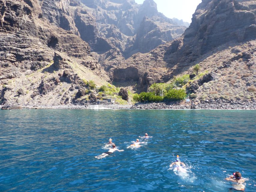 Tenerife: Los Gigantes Whale Watching Cruise by Sail Boat - What to Bring (and What to Skip)