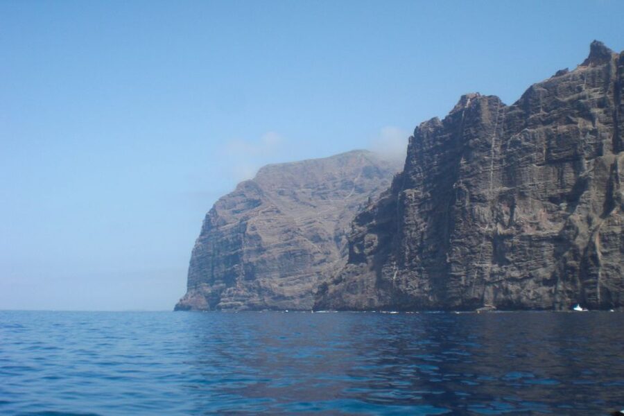 Tenerife: Luxury Private Whale & Dolphin Watching Tour - Getting On Board Early, and Why 15 Minutes Matters