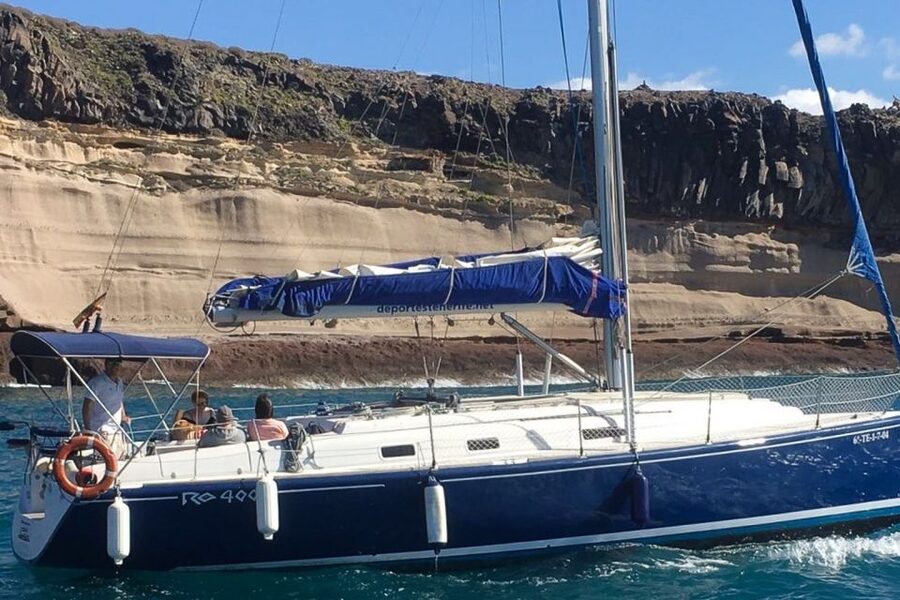 Tenerife: Luxury Private Whale & Dolphin Watching Tour - Drinks and Snacks That Make the Whole Day Easier