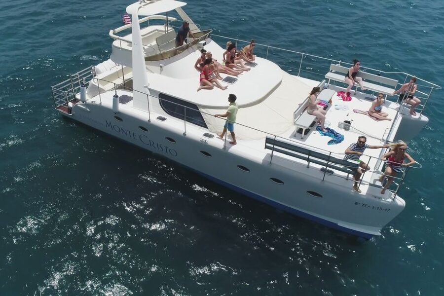 Tenerife: Marine-Life Tour with Transfer, Buffet and Drinks - Key things I’d plan around