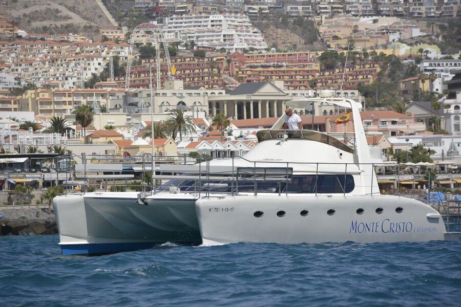 Tenerife: Marine-Life Tour with Transfer, Buffet and Drinks - The 3-hour plan that keeps whale watching from feeling rushed