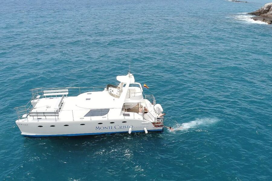 Tenerife: Marine-Life Tour with Transfer, Buffet and Drinks - On the water: how the crew searches for dolphins and pilot whales
