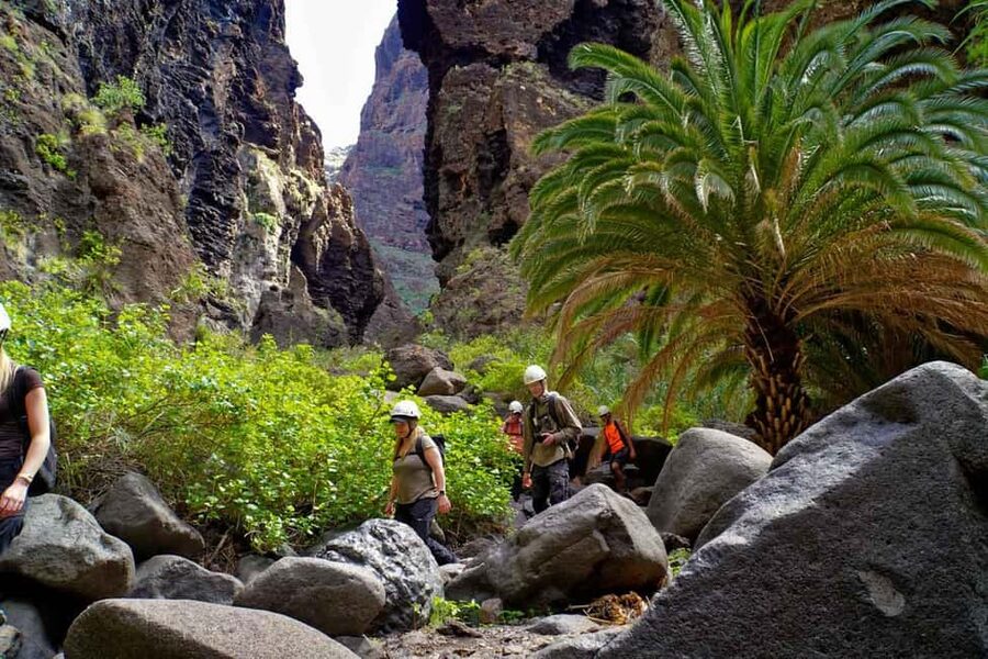 Tenerife : Masca ravine: Descent & boat trip - Barranco de Masca and Los Gigantes: the two-part payoff