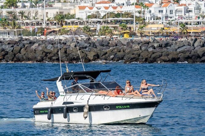 Tenerife Motor Boat Whale Watching & Snorkeling Experience - The Boat, the Seating, and Where You’ll Want to Stand or Sit